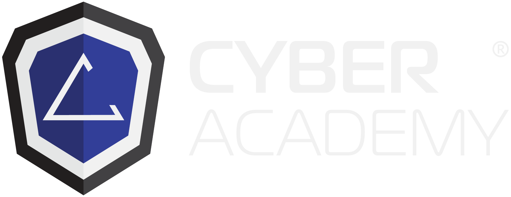 Cyber Academy